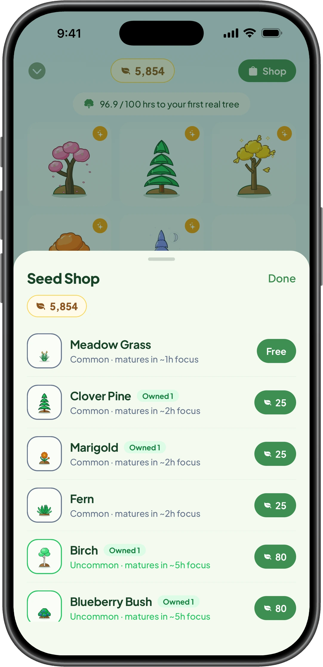GladeFocus iPhone Seed Shop sheet listing seeds such as Meadow Grass, Clover Pine, Marigold, Fern, Birch and Blueberry Bush, each with its rarity, the focus time it takes to mature, and its price in Acorns